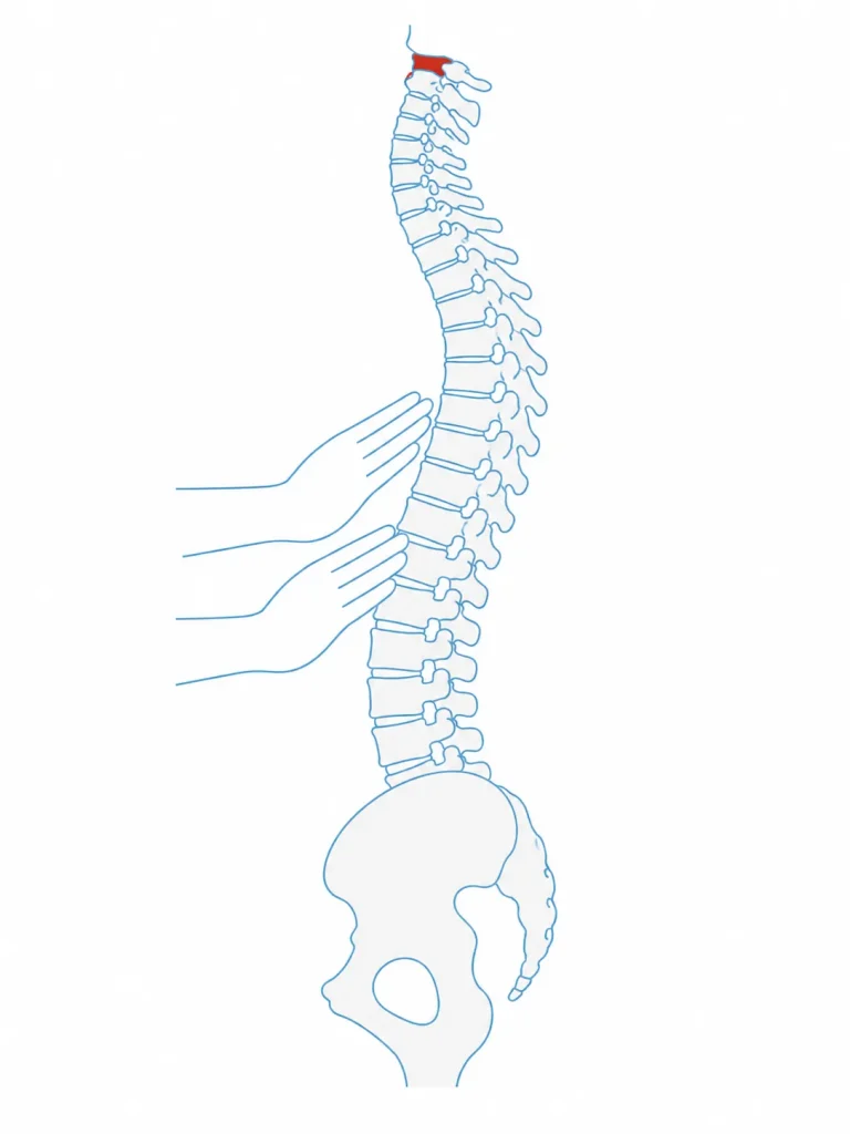 osteopata a Roma EUR, Studio Ierna
